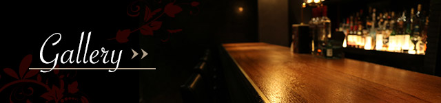 banner_gallery